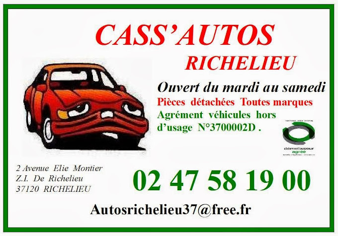 Aperçu des activités de la casse automobile AUTO RICHELIEU située à RICHELIEU (37120)